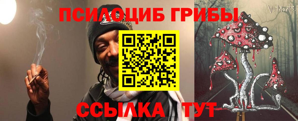 Галлюциногенные грибы MAGIC MUSHROOMS  Вход с VPN  Урус-Мартан 